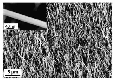 Nanowires unter dem Rasterelektronenmikroskop nach dem Feuercoating, Quelle: Yuan et al. (2011, p.2492)